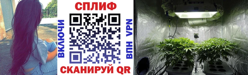 Все наркотики Каневская Бошки Шишки  Alpha PVP  Гашиш  КОКАИН 