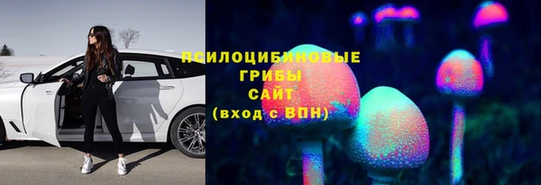 таблы Алексин