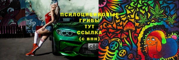 соль курить ск Алзамай