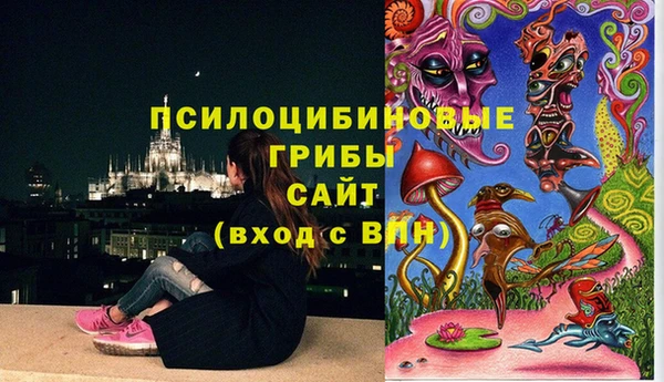 таблы Алексин