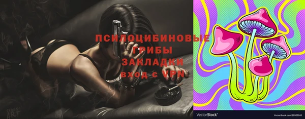 таблы Алексин
