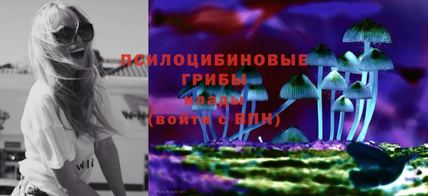 соль курить ск Алзамай