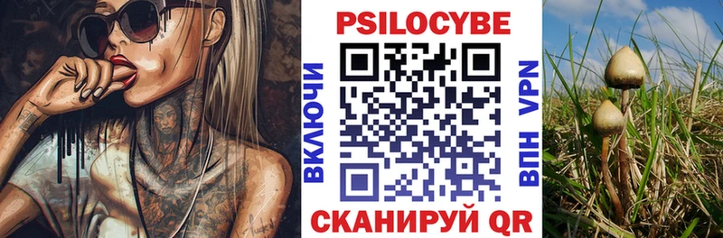 ссылка на мегу вход Каневская Псилоцибиновые грибы Psilocybe закладки
